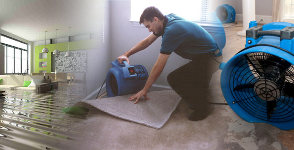 water damage services ottawa